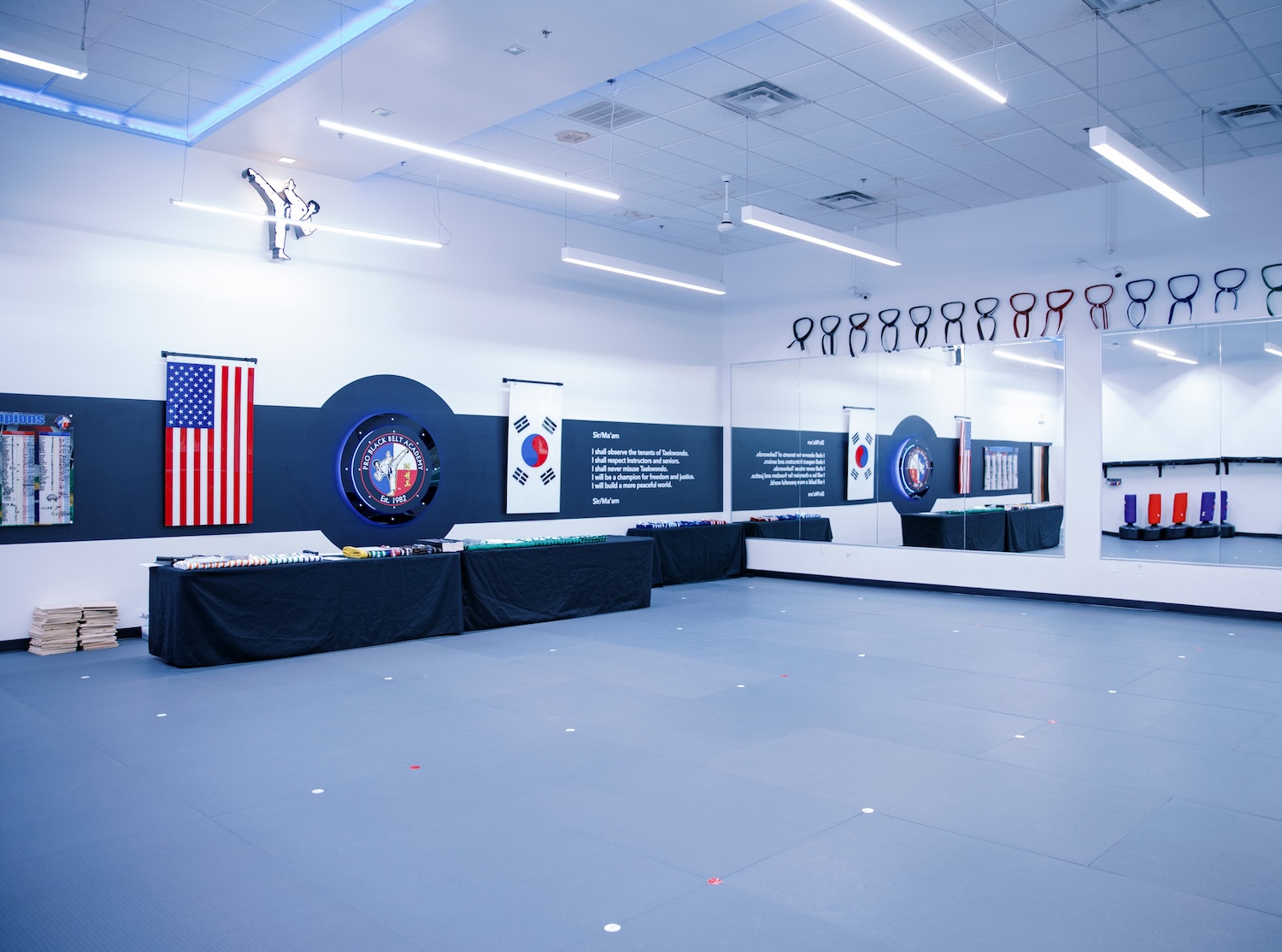 Professional Black Belt Academy - North McKinney