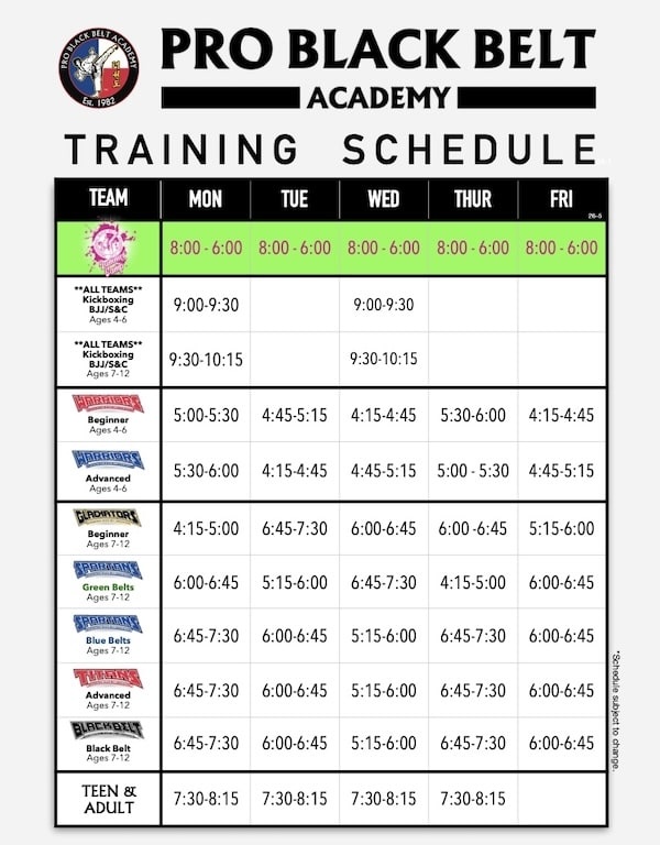 Professional Black Belt Academy - North McKinney Class Schedule